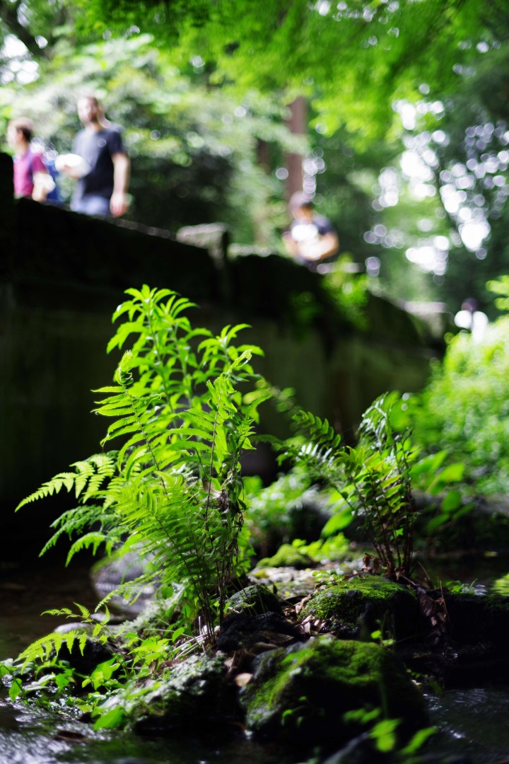 smc PENTAX-FA 50mmF1.4 classic