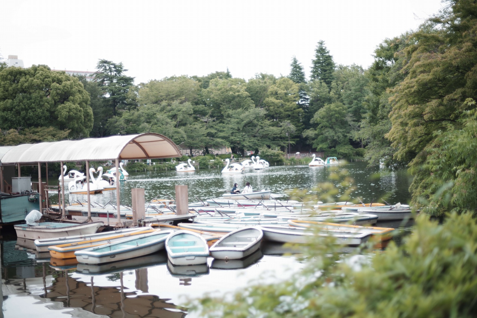 smc PENTAX-FA 50mmF1.4 classic