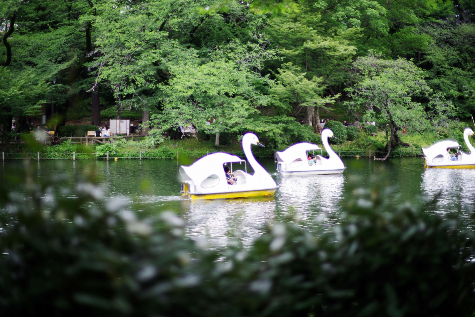 smc PENTAX-FA 50mmF1.4 classic